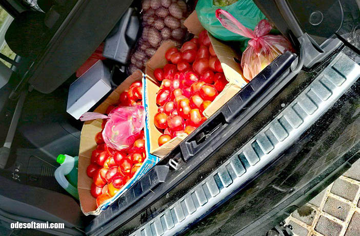 Купили помидоры на трассе по пути на Одессу - odesoftami.com