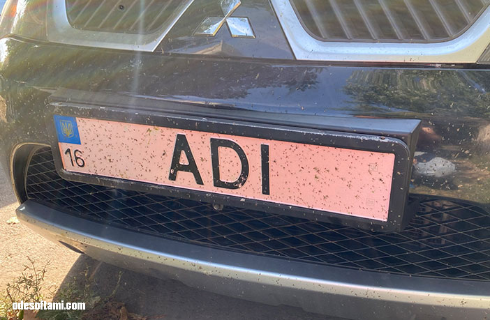Мошки на номере ADI автомобиль Outlander XL после поездки в Вилково, Одесская область - odesoftami.com